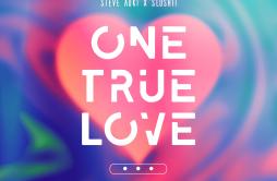 One True Love歌词 歌手Steve AokiSlushii-专辑One True Love-单曲《One True Love》LRC歌词下载