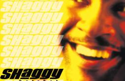It Wasn't Me歌词 歌手ShaggyRicardo Ducent-专辑Hot Shot-单曲《It Wasn't Me》LRC歌词下载