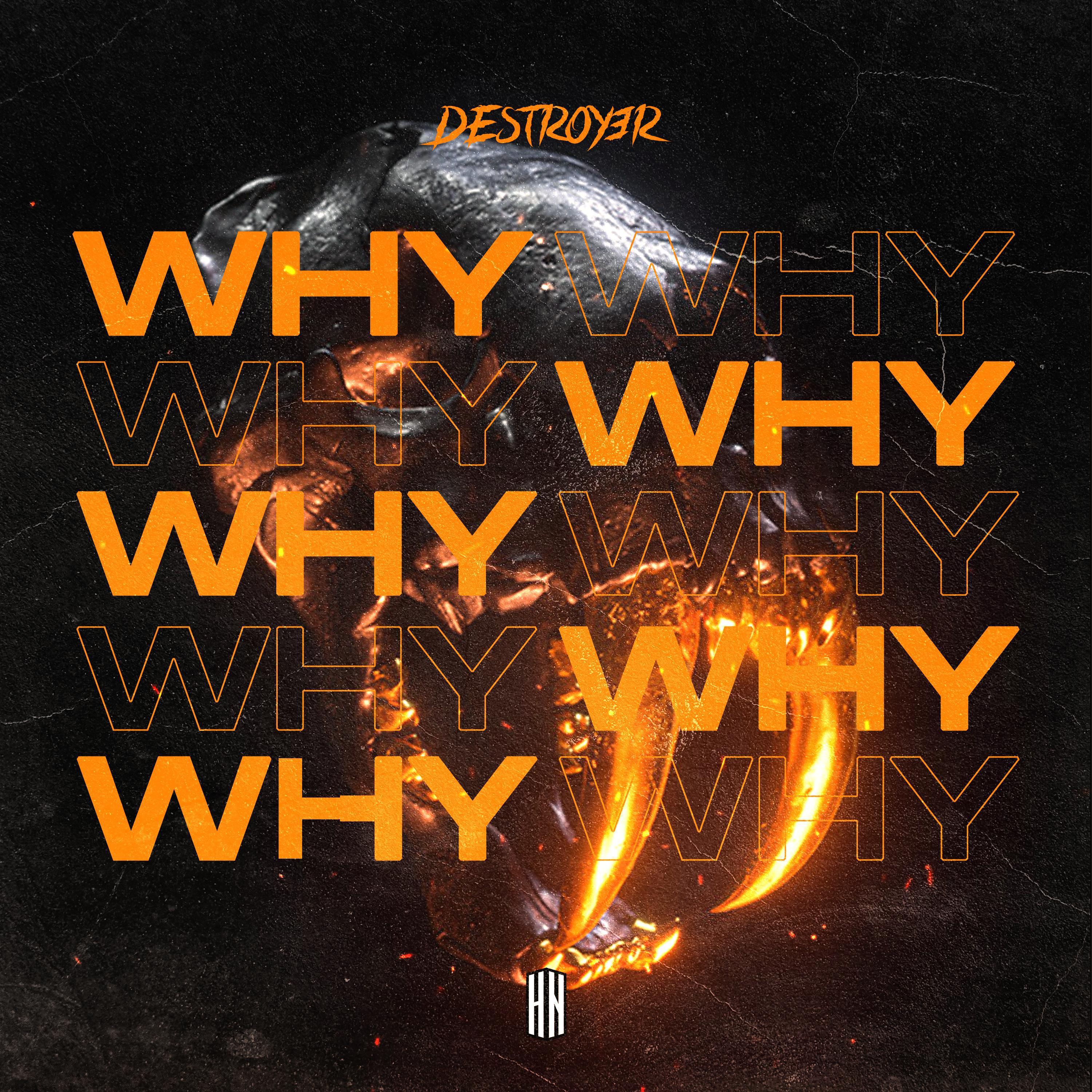 WHY (Radio Mix)歌词 歌手Destroy3r-专辑WHY (Radio Mix)-单曲《WHY (Radio Mix)》LRC歌词下载