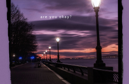 are you okay?歌词 歌手Thomas ReidRxseboyPowfu-专辑are you okay?-单曲《are you okay?》LRC歌词下载