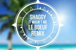 It Wasn't Me (Le Boeuf Remix)歌词 歌手Le BoeufShaggy-专辑It Wasn't Me (Le Boeuf Remix)-单曲《It Wasn't Me (Le Boeuf Remix)