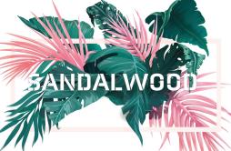 Sandalwood (feat. 初音ミク)歌词 歌手Twinfield初音ミク-专辑Sandalwood-单曲《Sandalwood (feat. 初音ミク)》LRC歌词下载