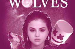 Wolves (Jiaye Bootleg)歌词 歌手JiayeSelena GomezMarshmello-专辑Wolves (Jiaye Bootleg)-单曲《Wolves (Jiaye Bootleg)》LRC歌词下载