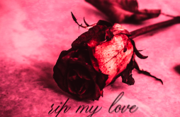 rip my love歌词 歌手savemysoul李耀宁-专辑savior-单曲《rip my love》LRC歌词下载