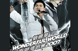 没有人可以像你 (Live)歌词 歌手刘德华-专辑Wonderful World 香港演唱会 2007-单曲《没有人可以像你 (Live)》LRC歌词下载