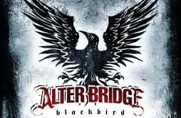 Watch Over You歌词 歌手Alter Bridge-专辑Blackbird-单曲《Watch Over You》LRC歌词下载