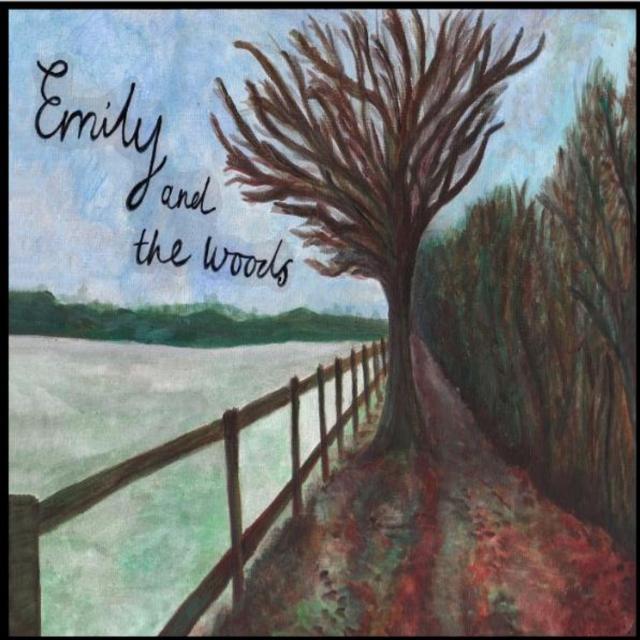 Never Play歌词 歌手Emily and the Woods-专辑Emily and the Woods-单曲《Never Play》LRC歌词下载