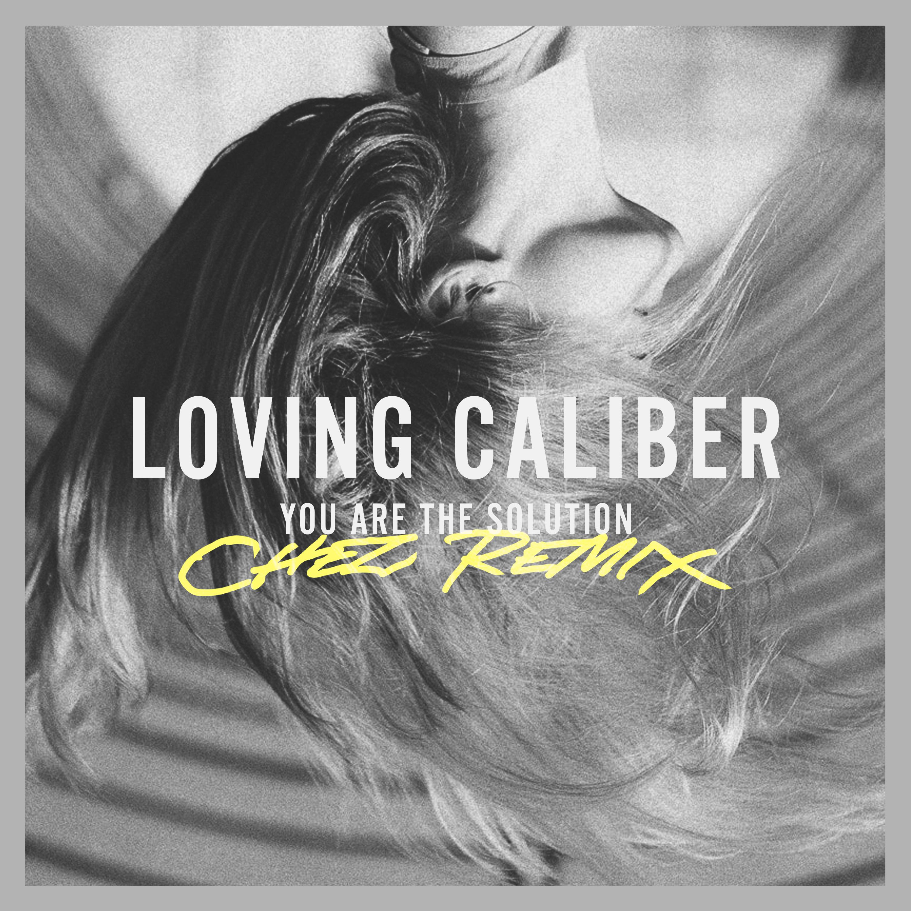 You Are The Solution (Chez Remix)歌词 歌手Loving Caliber / Lauren Dunn-专辑You Are The Solution (Chez Remix)-单曲《You Are The Solution (Chez Remix)》LRC歌词下载
