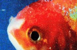 745歌词 歌手Vince Staples-专辑Big Fish Theory-单曲《745》LRC歌词下载