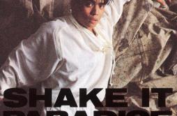 Shake It Paradise歌词 歌手久保田利伸-专辑SHAKE IT PARADISE-单曲《Shake It Paradise》LRC歌词下载