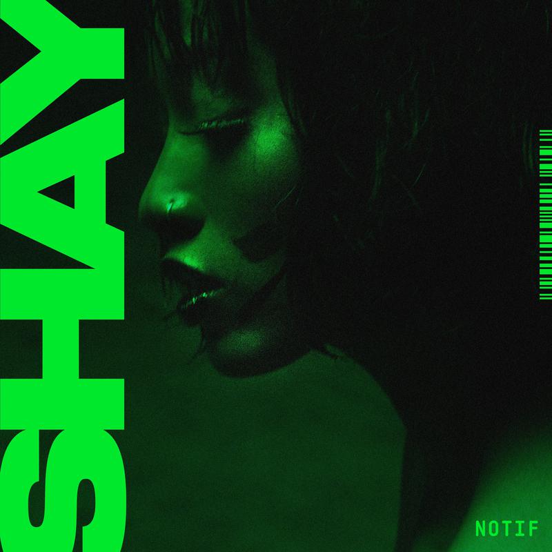 Notif歌词 歌手Shay-专辑Notif-单曲《Notif》LRC歌词下载