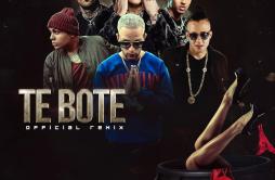 Te Boté (Remix)歌词 歌手Nicky JamBad BunnyDarellCasper MagicoNio GarciaOzuna-专辑Te Boté (Remix)-单曲《Te Boté (Remix)》LRC歌词下载