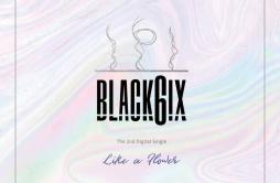 Like A Flower歌词 歌手BLACK6IX-专辑Like A Flower-单曲《Like A Flower》LRC歌词下载