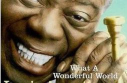 What A Wonderful World歌词 歌手Louis Armstrong-专辑Wonderful World-单曲《What A Wonderful World》LRC歌词下载