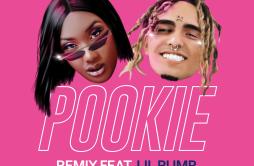 Pookie (Remix)歌词 歌手Aya NakamuraLil Pump-专辑Pookie (Remix)-单曲《Pookie (Remix)》LRC歌词下载