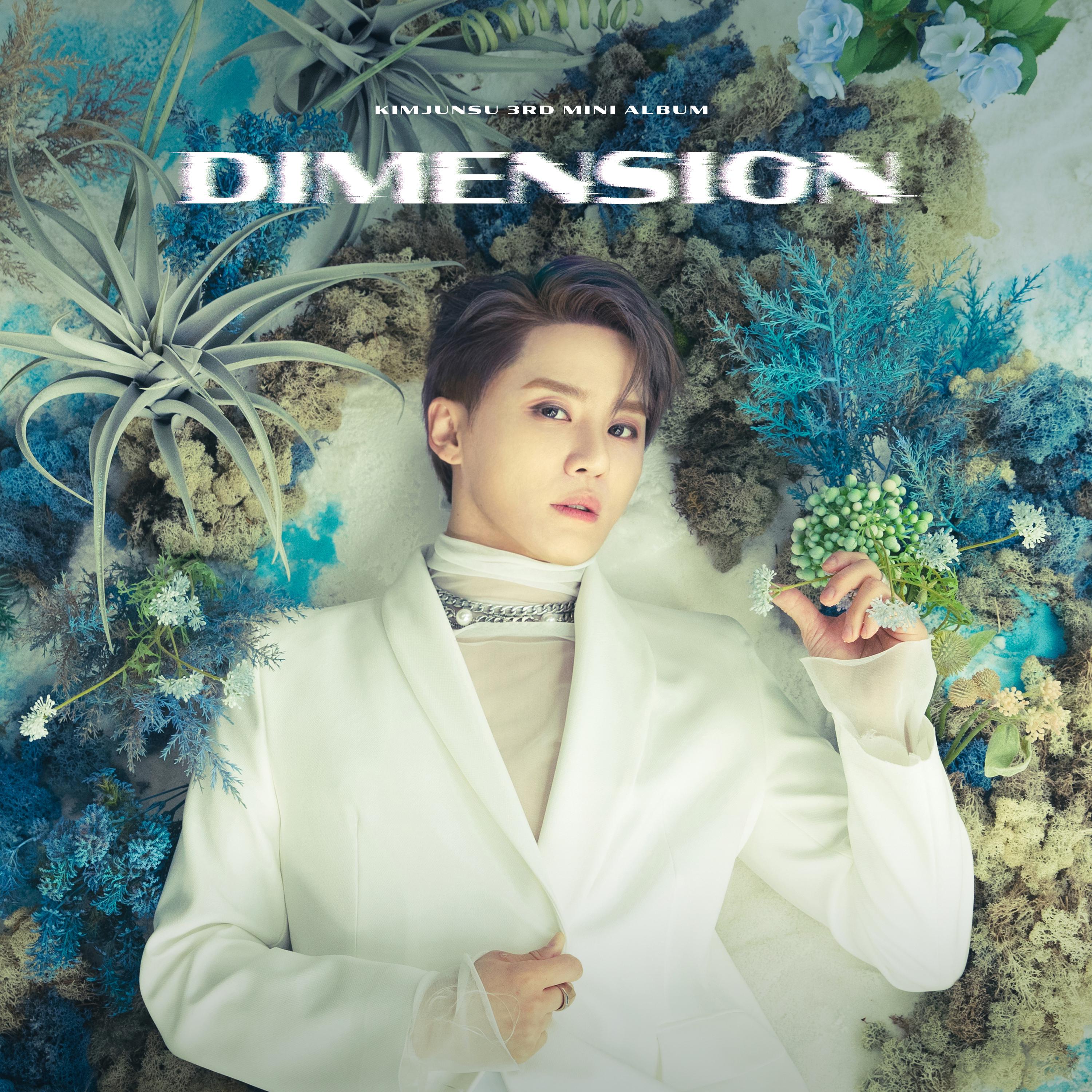 HANA歌词 歌手金俊秀-专辑DIMENSION-单曲《HANA》LRC歌词下载
