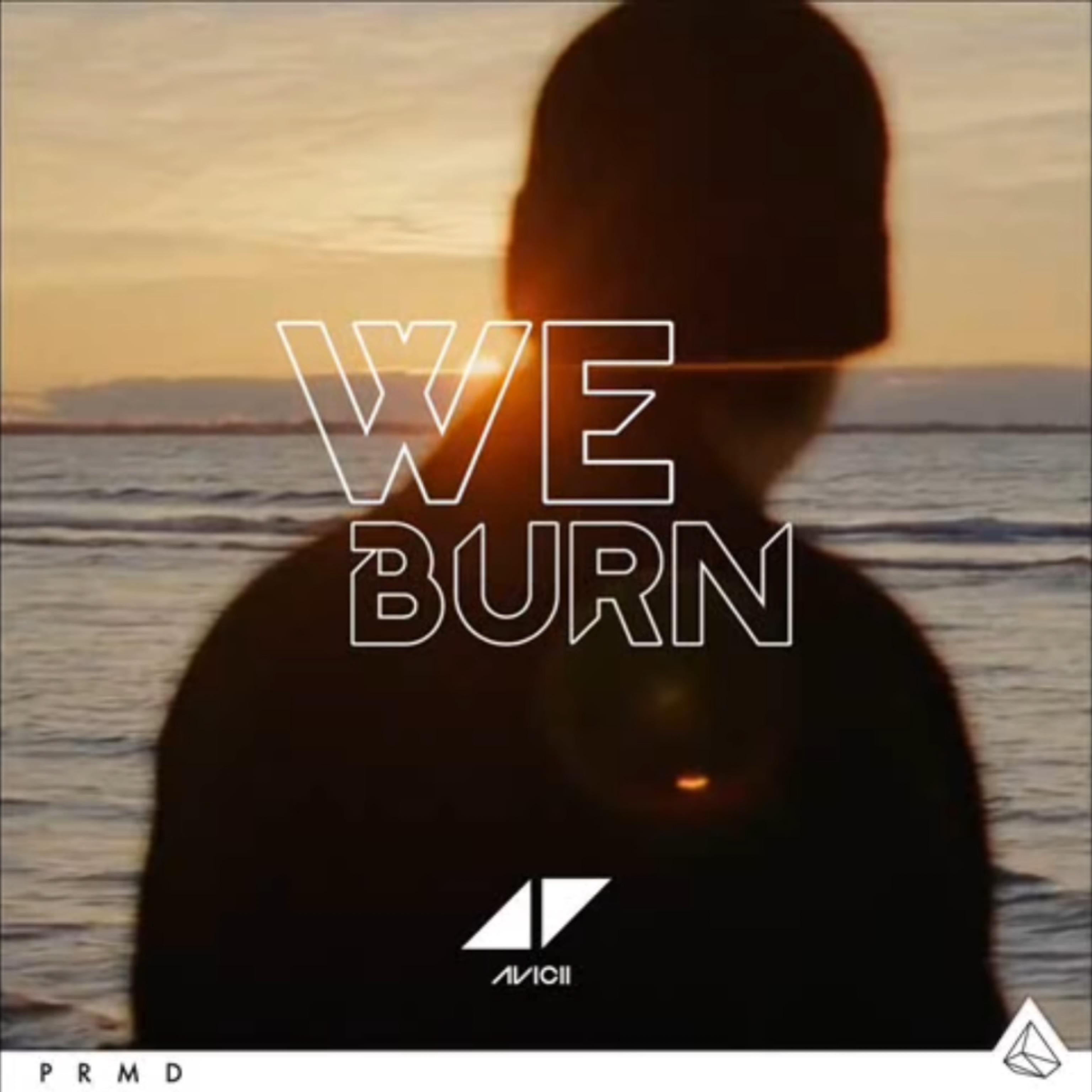 We Burn（Faster Than Light）SanJin Remake（翻自 Avicii）歌词 歌手SanJin-专辑Avicii-ID-We Burn（Faster Than Light）SanJin Remake-单曲《We Burn（Faster Than Light）SanJin Remake（翻自 Avicii）》LRC歌词下载