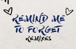 Remind Me to Forget (Hook N Sling Remix)歌词 歌手MiguelKygo-专辑Remind Me to Forget (Remixes)-单曲《Remind Me to Forget (Hook N Sling Rem