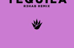 Tequila (R3HAB Remix)歌词 歌手Dan + ShayR3HAB-专辑Tequila (R3HAB Remix)-单曲《Tequila (R3HAB Remix)》LRC歌词下载