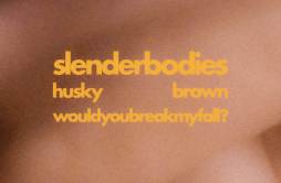 husky brown歌词 歌手slenderbodies-专辑husky brownwould you break my fall?-单曲《husky brown》LRC歌词下载