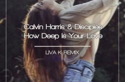 How Deep Is Your Love (Liva K Remix)歌词 歌手Liva KDisciplesIna Wroldsen-专辑How Deep Is Your Love (Liva K Remix)-单曲《How Deep Is Your 