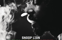 Smoke the ****歌词 歌手Snoop DoggCollie Buddz-专辑Reincarnated-单曲《Smoke the ****》LRC歌词下载