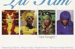 Not Tonight (Ladies Night Remix)歌词 歌手Lil' KimDa BratLisa LopesMissy ElliottAngie Martinez-专辑Not Tonight EP-单曲《Not Tonight (