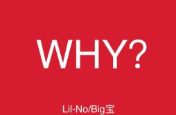 Why？歌词 歌手小不Lil-NoBig宝-专辑Why？-单曲《Why？》LRC歌词下载