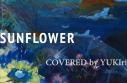 Sunflower（翻自 YUKIri）歌词 歌手YUKIri-专辑Sunflower-单曲《Sunflower（翻自 YUKIri）》LRC歌词下载