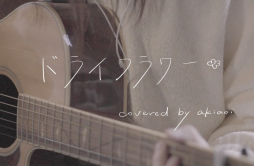 ドライフラワー（吉他弹唱）歌词 歌手秋葵AKIAOI-专辑ドライフラワー-单曲《ドライフラワー（吉他弹唱）》LRC歌词下载