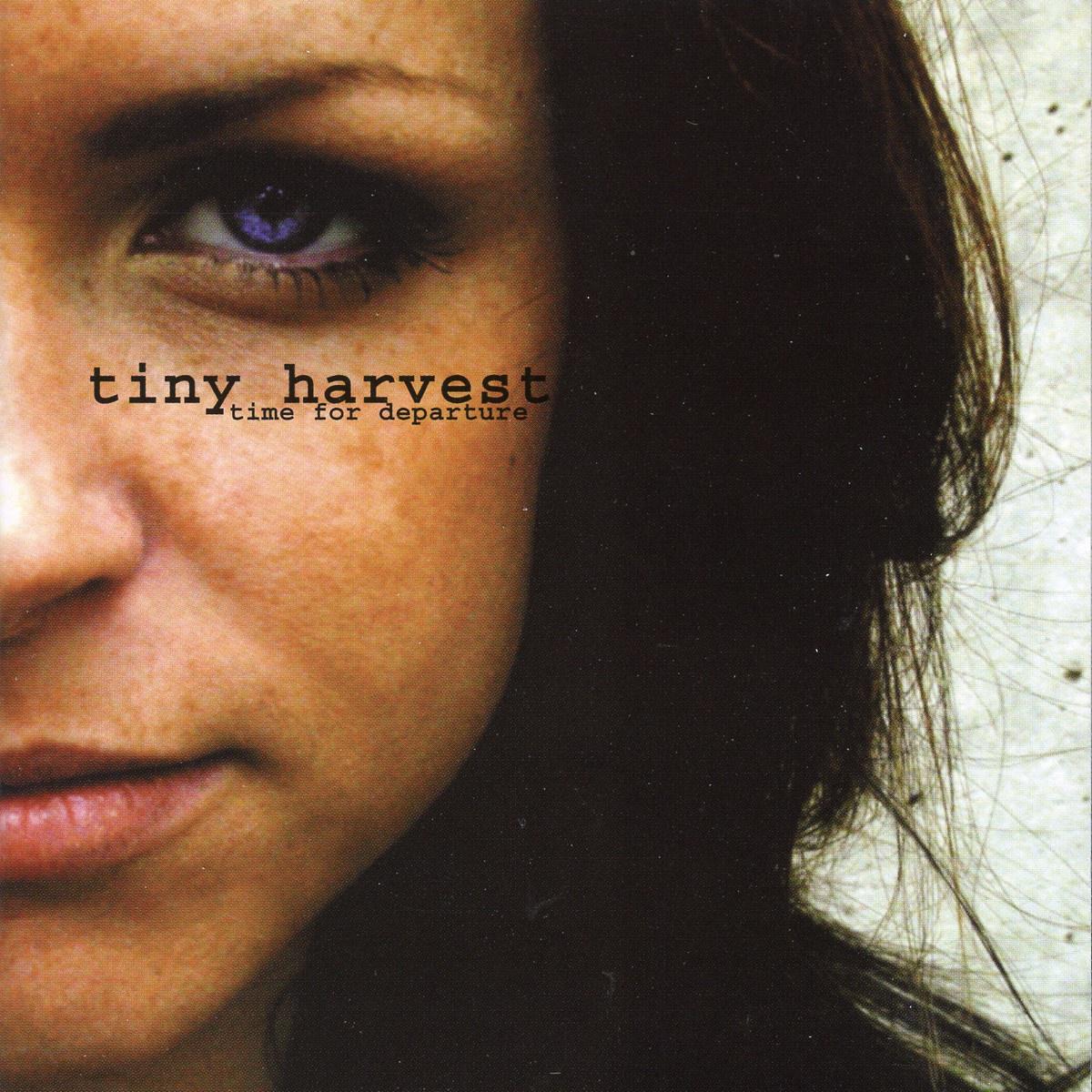 The night falls歌词 歌手Tiny Harvest-专辑Time For Departure-单曲《The night falls》LRC歌词下载