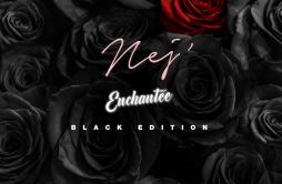 Bébé歌词 歌手Nej-专辑Enchantée (Black Edition)-单曲《Bébé》LRC歌词下载