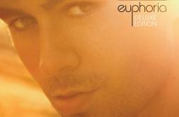 Why Not Me?歌词 歌手Enrique Iglesias-专辑Euphoria-单曲《Why Not Me?》LRC歌词下载