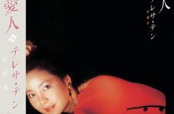 天外天上天无涯 (日文)歌词 歌手邓丽君-专辑Back To Black 爱人-单曲《天外天上天无涯 (日文)》LRC歌词下载