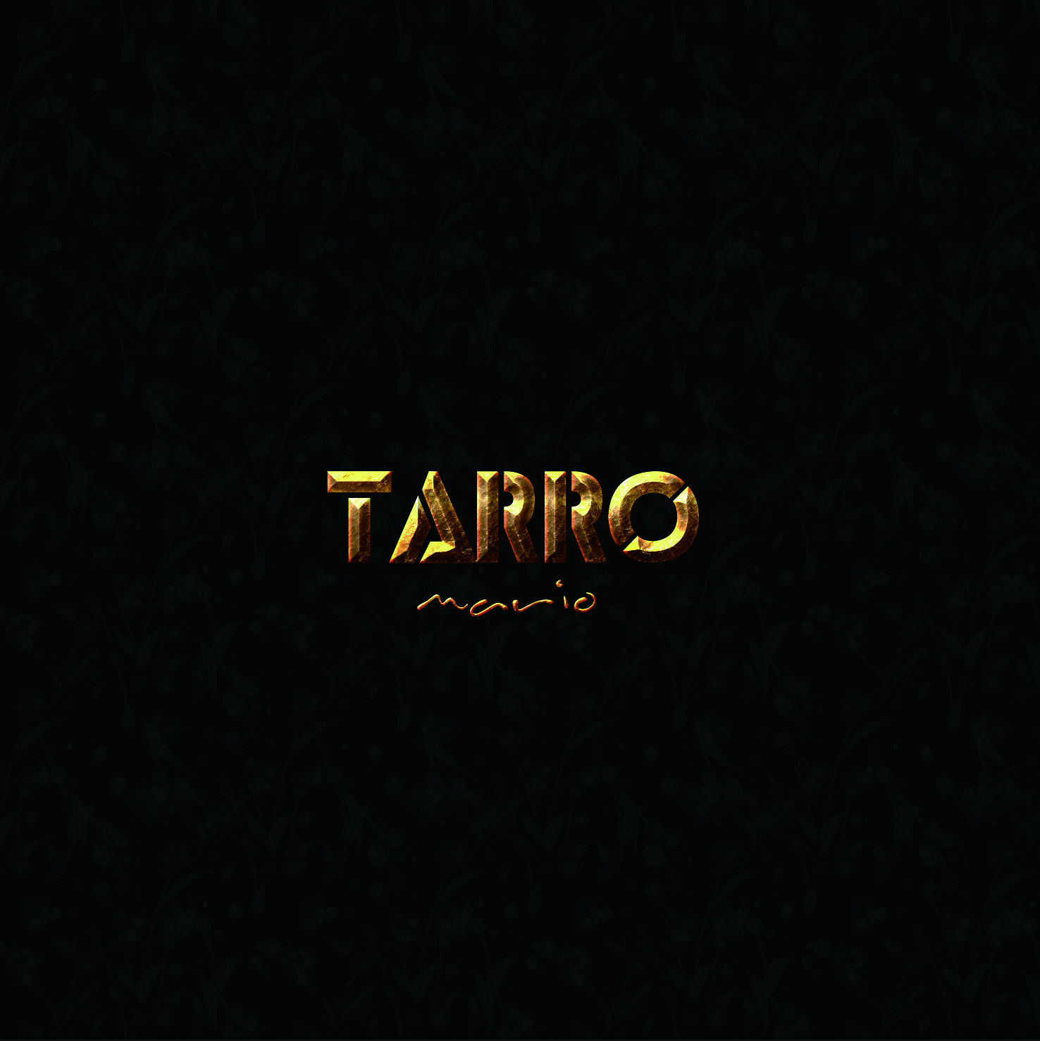 历书·乌衣歌词 歌手Mario-专辑Tarro-单曲《历书·乌衣》LRC歌词下载