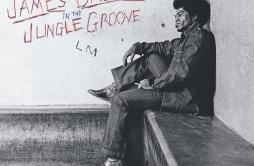 Funky Drummer (Pt. 1 & 2)歌词 歌手James Brown-专辑In The Jungle Groove-单曲《Funky Drummer (Pt. 1 & 2)》LRC歌词下载