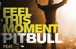 Feel This Moment歌词 歌手PitbullChristina Aguilera-专辑Feel This Moment-单曲《Feel This Moment》LRC歌词下载