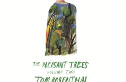 Fine One Day歌词 歌手Tom Rosenthal-专辑The Pleasant Trees, Vol. 2-单曲《Fine One Day》LRC歌词下载