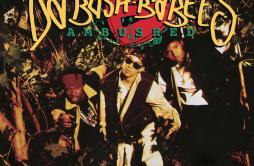 Original歌词 歌手Da Bush Babees-专辑Ambushed-单曲《Original》LRC歌词下载