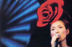思念(Live)歌词 歌手郑秀文-专辑X空间演唱会'96-单曲《思念(Live)》LRC歌词下载