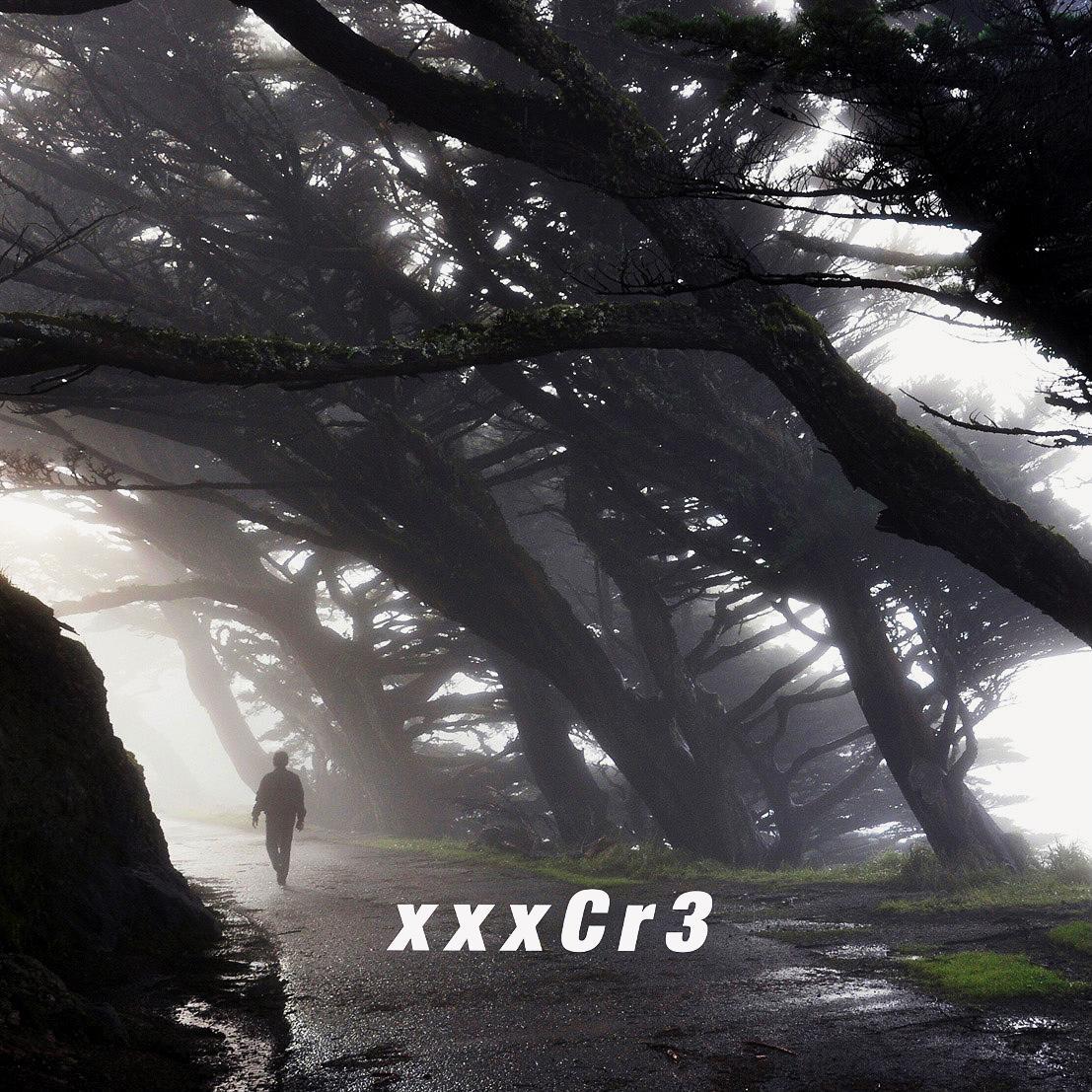 Japanese Main Current（0.8X）歌词 歌手xxxCr3-专辑High Class-单曲《Japanese Main Current（0.8X）》LRC歌词下载