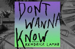 Don't Wanna Know (Zaeden Remix)歌词 歌手Zaeden-专辑Don't Wanna Know (Zaeden Remix)-单曲《Don't Wanna Know (Zaeden Remix)》L