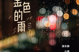 金色的雨歌词 歌手漫乐酶小魂江辰-专辑金色的雨-单曲《金色的雨》LRC歌词下载