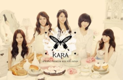 Honey (Japenese Ver.)歌词 歌手Kara-专辑Kara Special Premium Box for Japan-单曲《Honey (Japenese Ver.)》LRC歌词下载