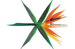 Ko Ko Bop歌词 歌手EXO-专辑THE WAR – The 4th Album-单曲《Ko Ko Bop》LRC歌词下载