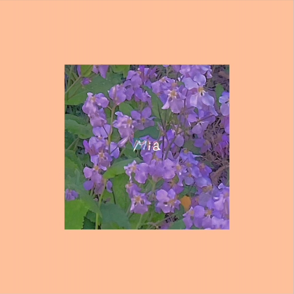 Mia歌词 歌手凡清（Fanish）-专辑Mia-单曲《Mia》LRC歌词下载