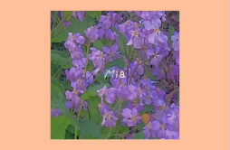 Mia歌词 歌手凡清（Fanish）-专辑Mia-单曲《Mia》LRC歌词下载