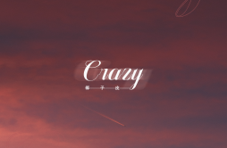 crazy歌词 歌手椰子皮-专辑crazy-单曲《crazy》LRC歌词下载