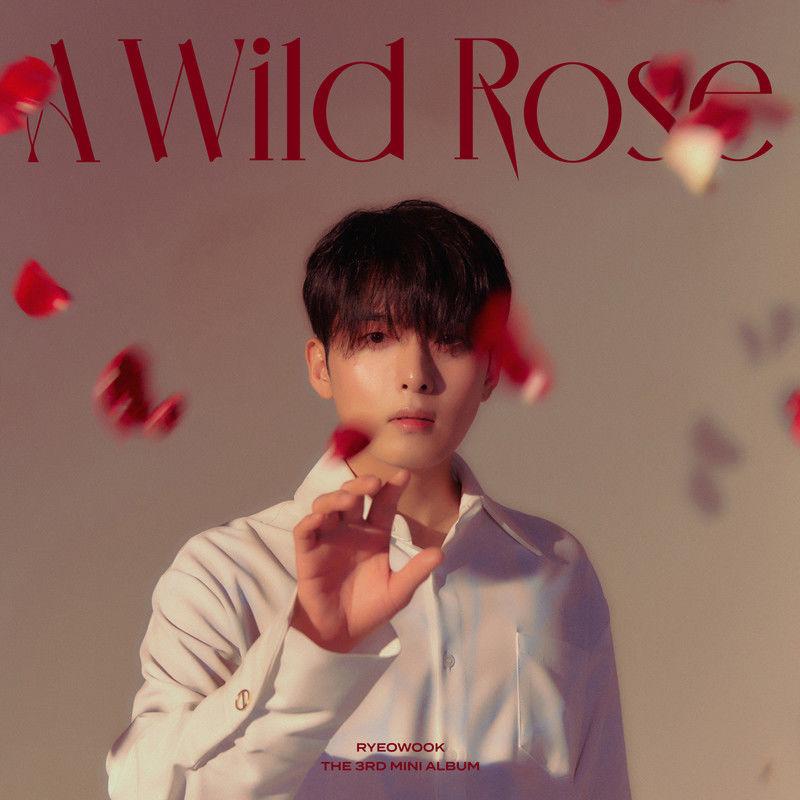 Hiding Words歌词 歌手厉旭-专辑A Wild Rose - The 3rd Mini Album-单曲《Hiding Words》LRC歌词下载