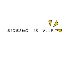 BIGBANG IS V.I.P